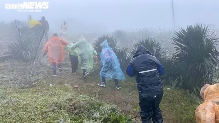 Anh Hoàng Quân, 36 tuổi cho biết: "Đoàn chúng tôi thuê nguyên một chiếc xe 29 chỗ từ Bắc Ninh lên đây từ chiều hôm qua để săn tuyết".