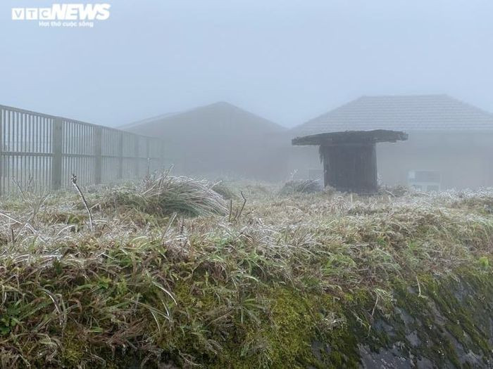 Thảm cỏ đóng băng.