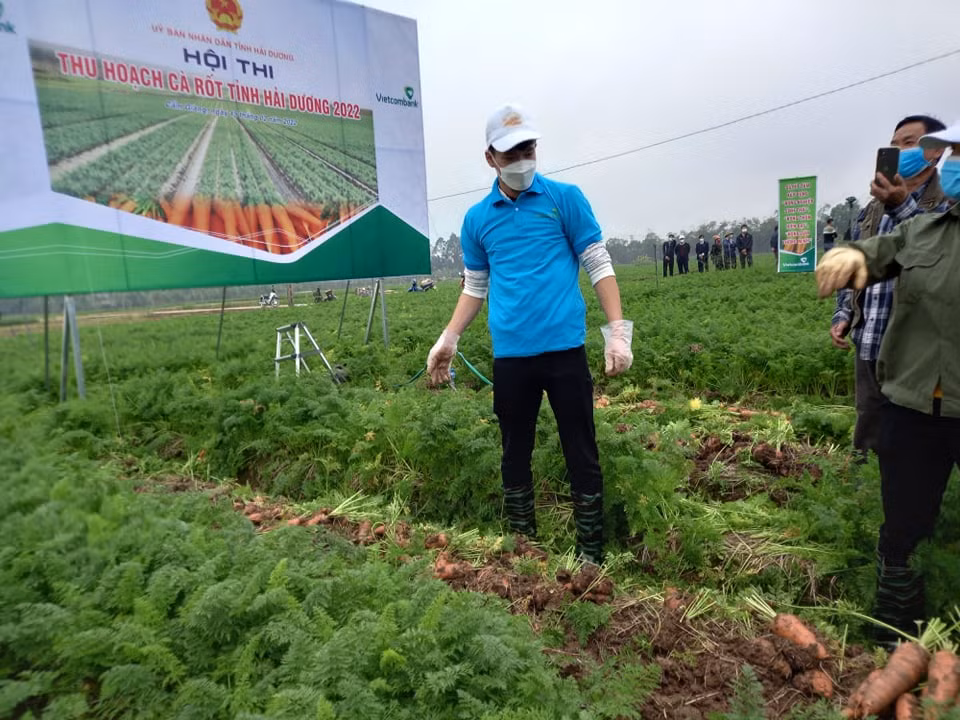 Hoàng Đức, Đức Chiến và Trọng Đại đều thuộc biên chế CLB Viettel và cùng quê Hải Dương. Sau sự kiện này, các cầu thủ trở về CLB tiếp tục chuẩn bị cho mùa giải mới. Lễ xuất quân của CLB Viettel dự kiến diễn ra vào ngày 22/2. 