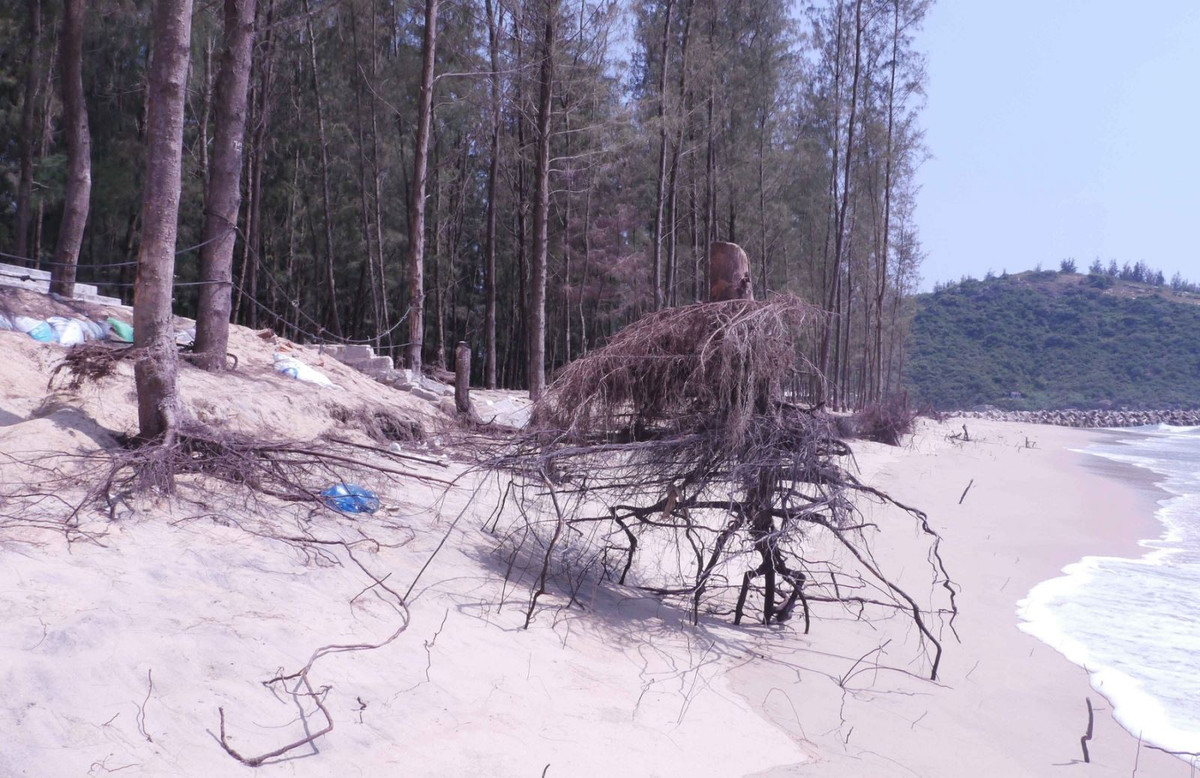  Điều tra làm rõ vụ vứt xác xuống biển phi tang: Ngày 20/2, Công an tỉnh Bình Định vẫn đang điều tra vụ chết người xảy ra tại bến đậu ghe An Mỹ, xã Mỹ Cát, huyện Phù Mỹ. Ngày 6/1, Phan Văn Dũng (SN 1988, ở xã Mỹ Chánh) nhiều lần đến nhà Đinh Công Nhật (SN 1986, xã Mỹ Cát) để đòi số tiền nợ 28 triệu đồng. Chiều cùng ngày, tại bến đậu ghe An Mỹ, Nhật đã đẩy Dũng ngã bất tỉnh, sau đó chở nạn nhân đến cửa biển Đề Gi (thuộc xã Cát Khánh, huyện Phù Cát) và ném xuống biển. Hiện vẫn chưa tìm được Dũng nên chưa thể khẳng định người này còn sống hay đã chết.(Ảnh: Thanh Niên)