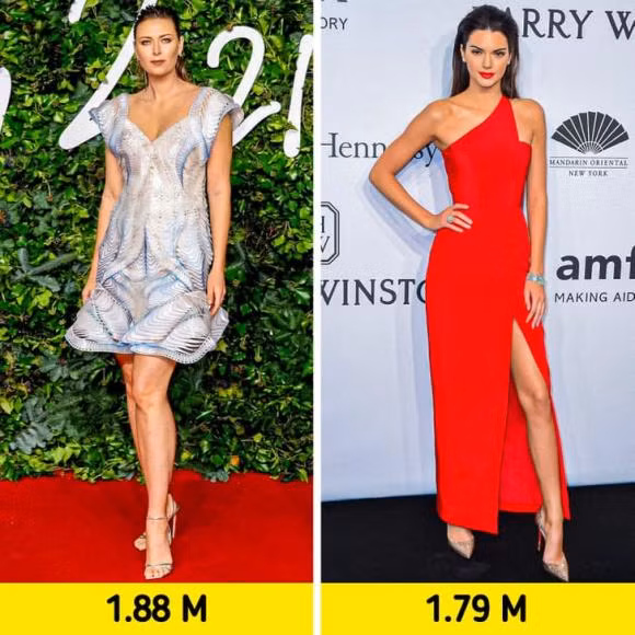 Chieu cao noi len dieu gi ve tinh cach cua mot nguoi phu nu?