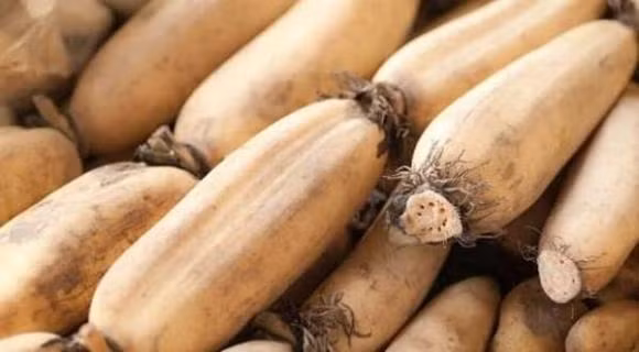 Nhac nguoi bi benh da day an cang nhieu 5 loai thuc pham nay cang tot