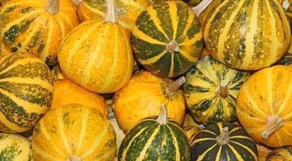 Nhac nguoi bi benh da day an cang nhieu 5 loai thuc pham nay cang tot-Hinh-3