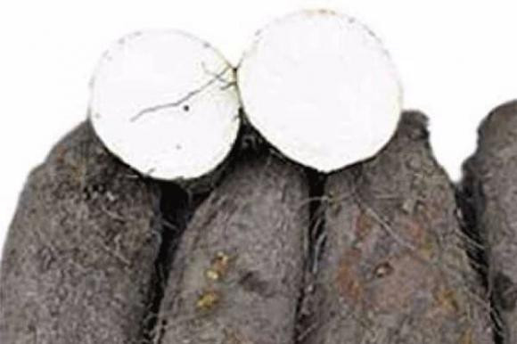 Nhac nguoi bi benh da day an cang nhieu 5 loai thuc pham nay cang tot-Hinh-5