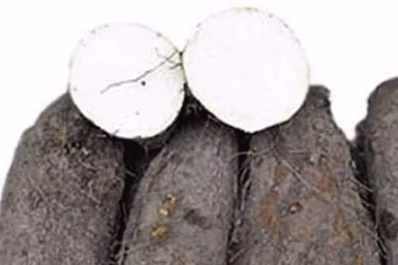 Nhac nguoi bi benh da day an cang nhieu 5 loai thuc pham nay cang tot-Hinh-5