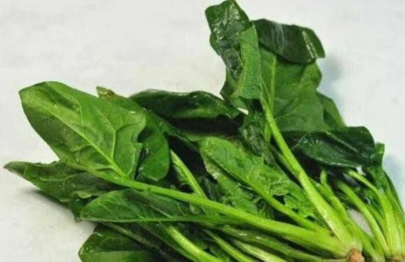 Nhac nguoi bi benh da day an cang nhieu 5 loai thuc pham nay cang tot-Hinh-2