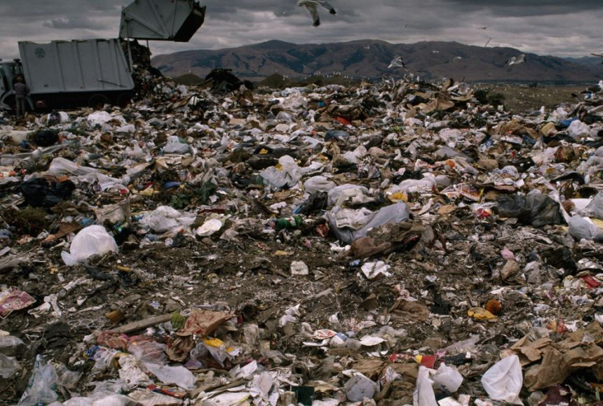 5. Sự suy thoái đa dạng sinh học: Năm 2050 có thể chứng kiến sự biến mất của hàng ngàn loài động vật và thực vật do sự phá hủy môi trường sống, biến đổi khí hậu và sự can thiệp của con người. Sự suy thoái đa dạng sinh học không chỉ là mất mát về mặt sinh thái, mà còn ảnh hưởng trực tiếp đến hệ sinh thái và cuộc sống của con người. (Ảnh: National Geographic Society)