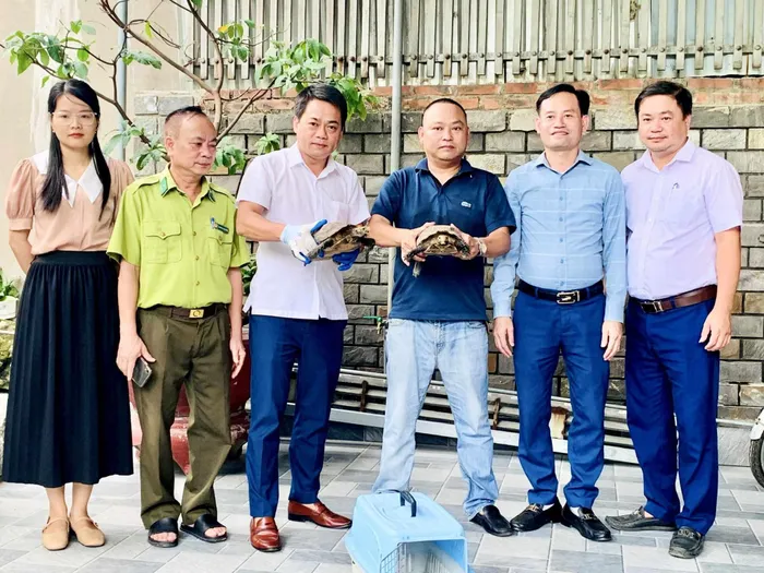 Anh Trần Văn Dũng, trong một chuyến công tác, đã phát hiện và cứu hai con rùa núi viền đang bò qua đường, sau đó bàn giao cho cơ quan bảo tồn động vật hoang dã. Hai cá thể rùa này nặng 6kg và thuộc loài động vật quý hiếm cần được bảo vệ, được liệt kê trong Sách đỏ Việt Nam.Vị trí thả rùa phải là khu vực rừng sâu, gần khe suối để đảm bảo điều kiện sống an toàn cho chúng. (Ảnh: Thương hiệu và pháp luật)