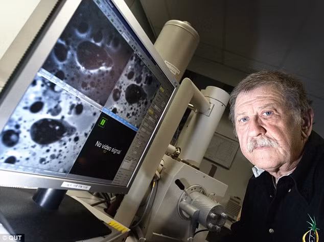 Thay vì chứa khí hay hơi nước, các bong bóng thuỷ tinh trên Mặt trăng chứa mạng lưới tổ ong các hạt thuỷ tinh nano. (Ảnh: dailymail)