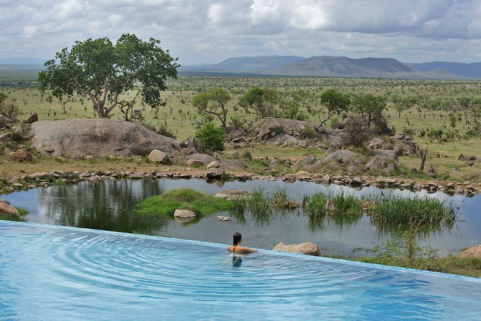 4. Four Seasons Safari Lodge Serengeti, Tanzania: Bể bơi vô cực tại Four Seasons Safari Lodge Serengeti mang đến trải nghiệm độc đáo khi cho phép du khách ngắm nhìn các loài động vật hoang dã trong công viên quốc gia Serengeti. Từ bể bơi, du khách có thể thấy những đàn voi, hươu cao cổ và sư tử di chuyển trong thiên nhiên hoang dã. (Ảnh: Tripadvisor)