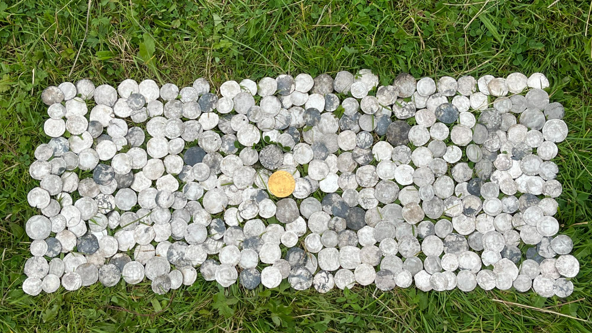 Dave Cliffton, 65 tuổi, một người dò tìm vàng nghiệp dư ở Halesowen, West Mids, Anh, đã có một phát hiện kinh ngạc khi tìm thấy một kho báu khổng lồ với 350 đồng xu cổ trong lúc tham gia cùng câu lạc bộ đào vàng Spade Crusade. Theo The Sun, Dave đã nhận được tín hiệu kim loại khi đào sâu khoảng 12cm và phát hiện ra một chiếc móng ngựa, nhưng ông cảm thấy còn có vật gì giá trị hơn bên dưới. (Ảnh: The Sun)