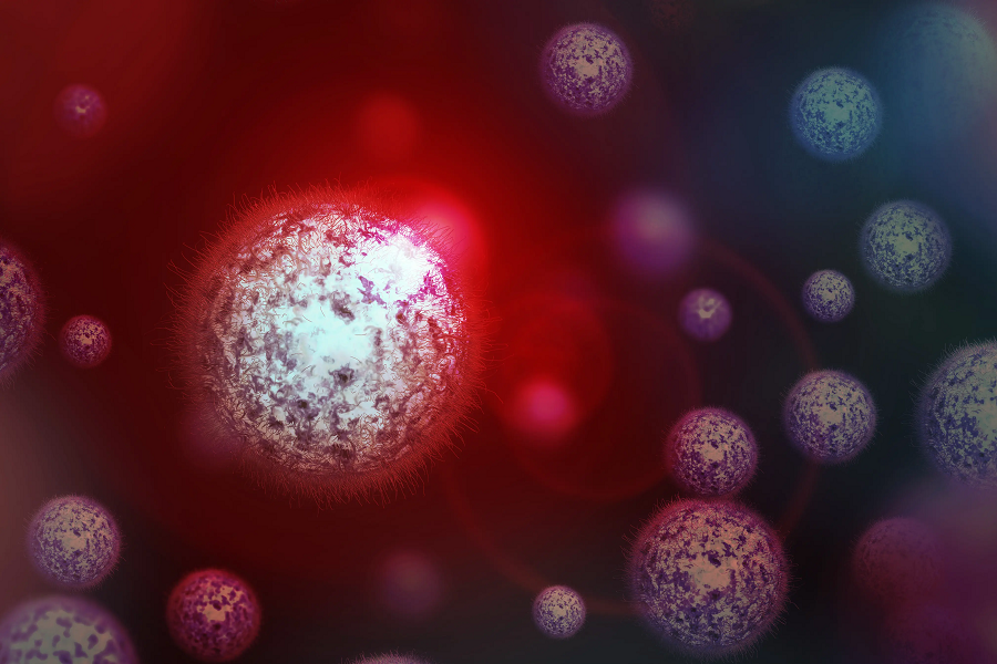 Phát hiện này đã mở rộng thêm kiến thức về các tác nhân truyền nhiễm và vai trò của chúng trong hệ sinh thái toàn cầu.