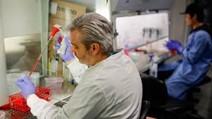 Điều này khiến cho Yaravirus trở thành một hiện tượng đáng chú ý trong lĩnh vực nghiên cứu vi khuẩn và virus.