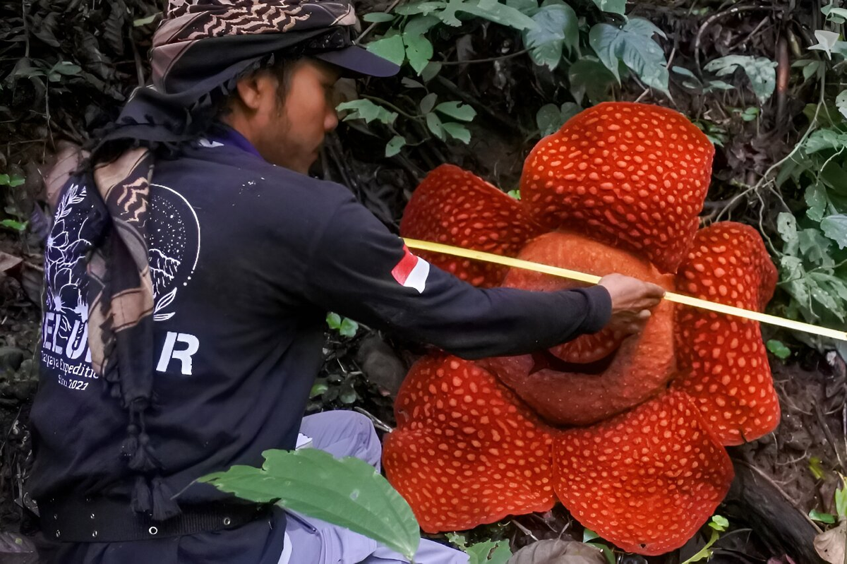 Tuy nhiên, các nghiên cứu cảnh báo rằng mối đe dọa kép từ biến đổi khí hậu và hủy hoại môi trường do con người gây ra đang làm giảm đáng kể đa dạng sinh học trên toàn thế giới. Chúng ta cần hành động để bảo vệ những loài quý báu này và duy trì sự đa dạng của hệ sinh thái trên hành tinh của chúng ta.