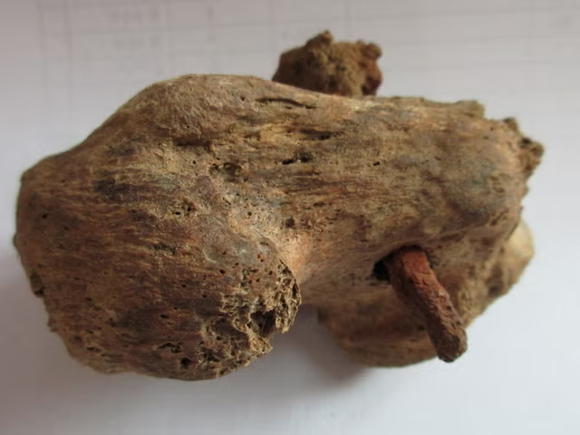 Đóng đinh là một hình thức trừng phạt tàn ác thời cổ đại, và trường hợp này cho thấy cư dân ở một ngôi làng nhỏ cũng không thoát khỏi sự trừng phạt hung bạo của đế quốc La Mã.(Ảnh: independent)