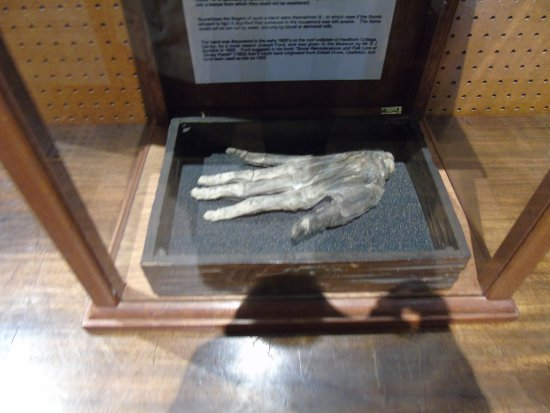 Món đồ này được phát hiện tại một ngôi nhà tranh ở Castleton và được tặng cho bảo tàng vào năm 1935. (Ảnh: whitbyuncovered)