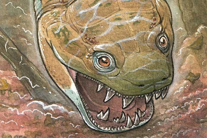 Hộp sọ dài hơn 60 cm và toàn thân dài tới 2,5 m, có thể là sinh vật lớn nhất cùng loại.