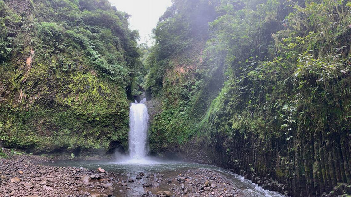 Christina Biggs, nhân viên phụ trách “Re:wild’s Search for Lost Species”, chia sẻ: "Madagascar là một điểm nóng về đa dạng sinh học và rừng Makira là khu vực còn nguyên sơ nhất trong cả nước. Do đó, chúng tôi quyết định thử nghiệm một mô hình mới để tìm kiếm các loài đã mất tại đây". (Ảnh: Miami Herald)