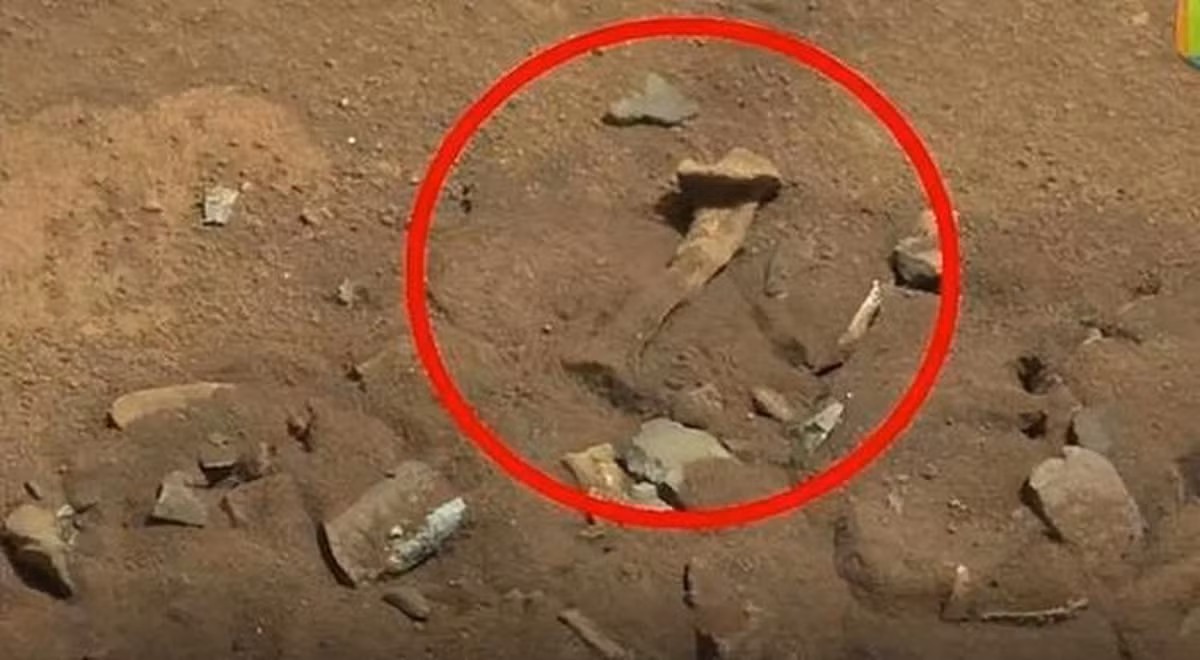 Trước đó, tàu thám hiểm Perseverance đã chụp được dấu vết của các sinh vật tương tự Trái Đất trên bề mặt Sao Hỏa, đưa ra những manh mối mới và nâng cao sự quan tâm về khả năng có người ngoài hành tinh.