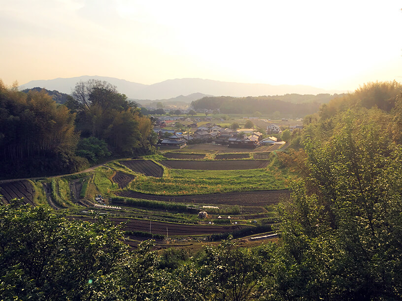 Asuka từng là trung tâm chính trị và văn hóa của Nhật Bản trong một thời gian dài. Đây là nơi diễn ra nhiều sự kiện lịch sử quan trọng và là nơi sinh sống của nhiều nhân vật lịch sử nổi tiếng. (Ảnh: Cover-More Australia)