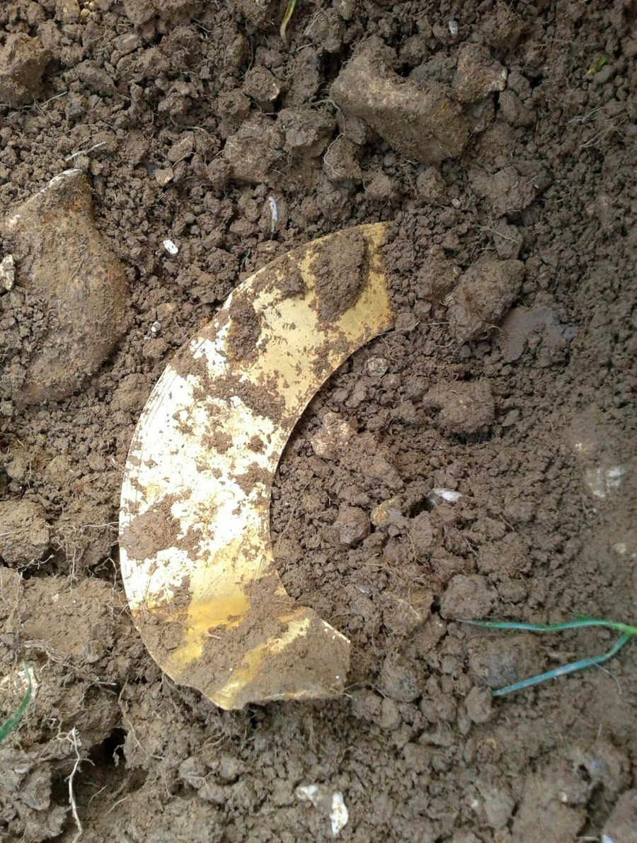 David Spohr, một thợ săn kho báu, đang cầm máy dò kim loại đi lang thang trên cánh đồng ở Dorset, miền nam nước Anh thì bất ngờ phát hiện một kho báu quý giá. Trong lúc đi ăn trưa, máy dò của David phát ra tiếng bíp, dẫn anh đến một chiếc vòng cổ vàng có niên đại từ thời kỳ đồ đồng, biểu tượng của quyền lực và địa vị.