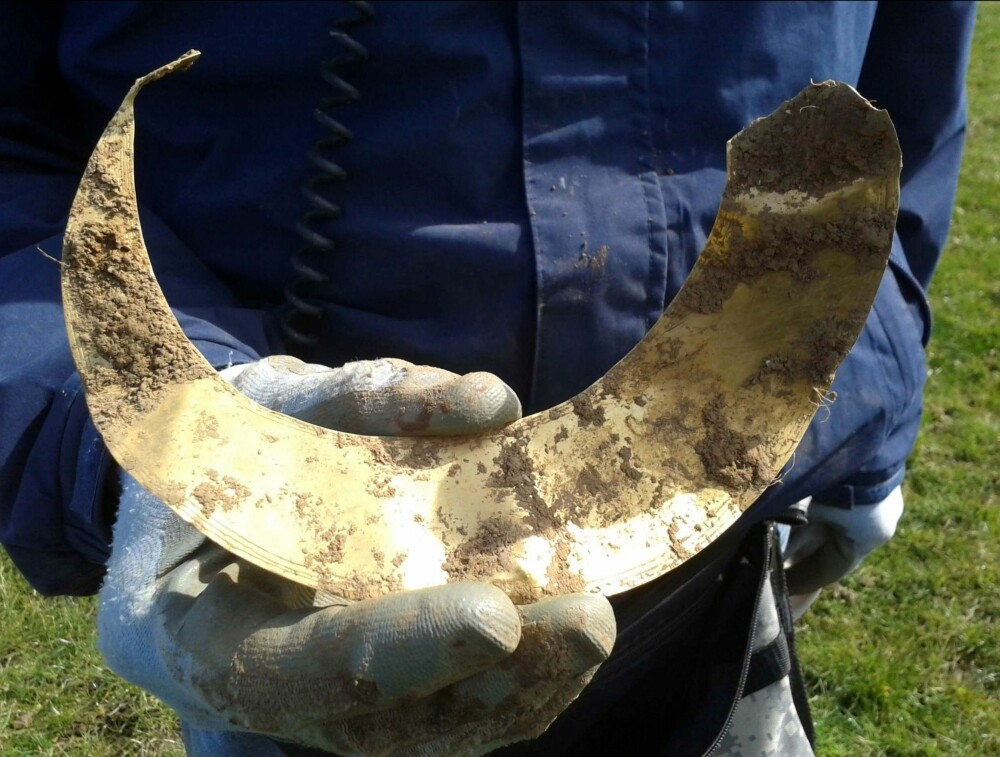 Dù một phần của chiếc vòng bị phá hủy bởi máy cày, David vẫn rất phấn khích và dự định chia sẻ một nửa số tiền thu được từ việc đấu giá chiếc vòng với chủ sở hữu của thửa ruộng.