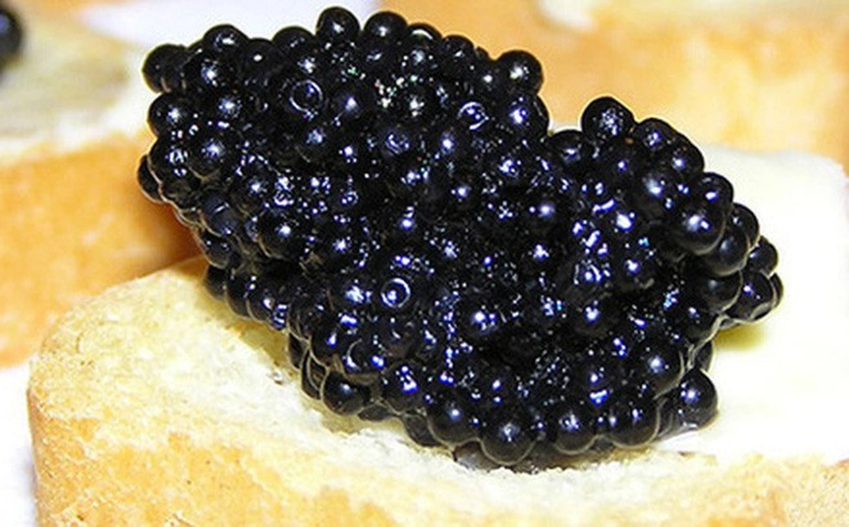 Tuy nhiên, do săn bắt quá lớn, cá tầm đã từng có giai đoạn bị tuyệt chủng.