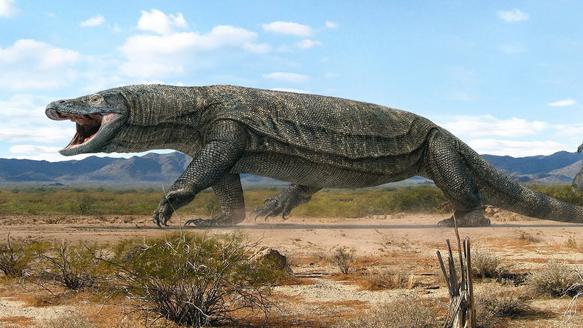 4. Megalania Prisca: Thằn lằn khổng lồ tiền sử ở Australia, thường được báo cáo vẫn xuất hiện dù đã tuyệt chủng.