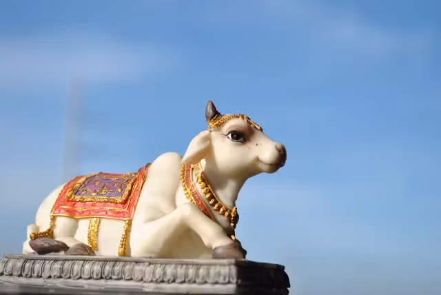 Những nghi lễ này được thực hiện với đầy đủ trang phục và nghi thức như một đám cưới thực sự, nhưng sau đó, các động vật sẽ được tự do và không sống cùng người kết hôn với chúng. (Ảnh: soranews24)