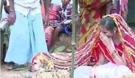 Một số ngôi làng có tục lệ cho các cô gái kết hôn với chó để truyền đi vận rủi. (Ảnh: AREWA HAUSA news)