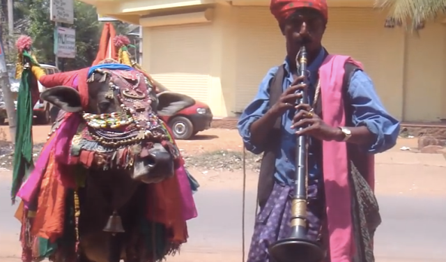 Một trong số đó là tục lệ kết hôn với động vật, một phong tục đã tồn tại từ lâu và mang đậm màu sắc tâm linh, gây nhiều tò mò và tranh luận. (Ảnh: soranews24)