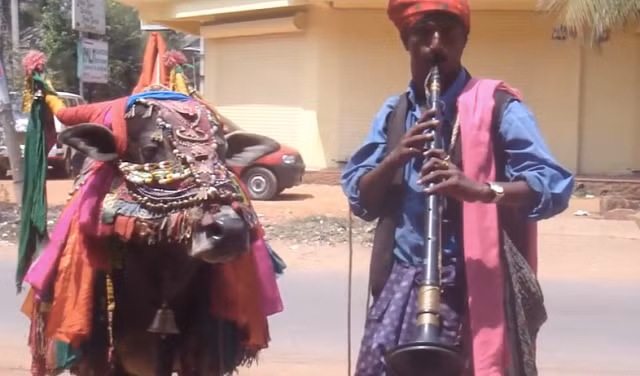 Một trong số đó là tục lệ kết hôn với động vật, một phong tục đã tồn tại từ lâu và mang đậm màu sắc tâm linh, gây nhiều tò mò và tranh luận. (Ảnh: soranews24)