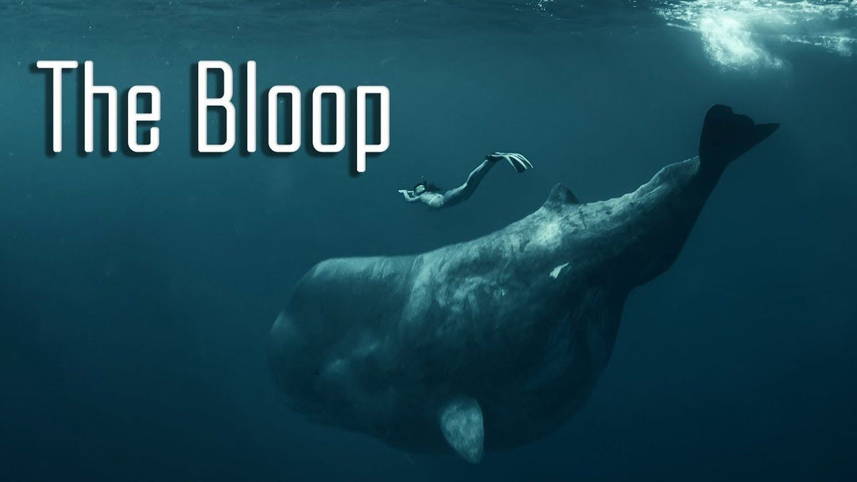1. Âm thanh kỳ lạ "The Bloop": Được phát hiện và ghi lại bởi Cục quản lý Khí quyển và Đại dương Mỹ (NOAA) năm 1997, đây là một trong số những bí ẩn "ma quái" trong lòng đại dương khiến giới khoa học đau đầu. (Ảnh: Pinterest)