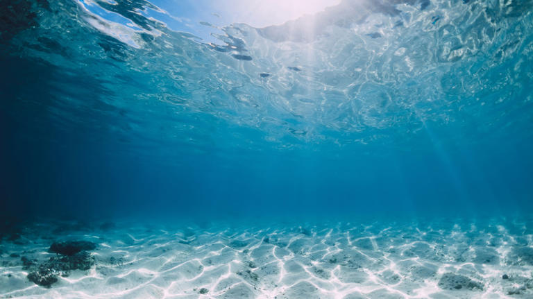 Tần số lớn hơn nhiều so với bất cứ tiếng ồn do động vật biển nào gây ra. Chúng được truyền đi với khoảng cách lên tới 5.000 km. (Ảnh: salientpredictions)