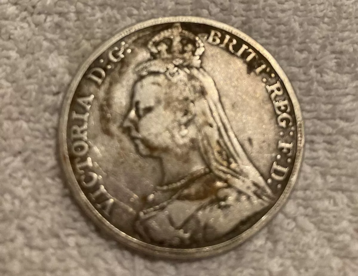 Phát hiện này khiến Jennie và gia đình rất phấn khích, đặc biệt là con trai Harrison, người tin rằng họ sẽ trở nên giàu có. (Ảnh: norfolklive)