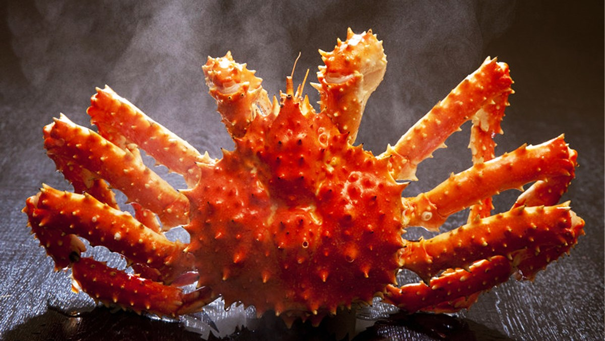 1. Cua hoàng đế (King Crab): Cua hoàng đế là một trong những loài cua lớn nhất và được biết đến nhiều nhất. Tuy nhiên, ít ai biết rằng chúng thực chất tiến hóa từ tổ tiên giống tôm hùm thuộc nhóm Anomura.