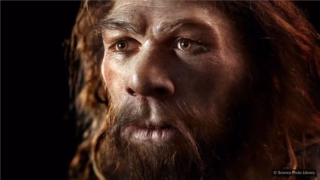 7. Người Neanderthal: Biến mất khoảng 30.000 năm trước, nguyên nhân có thể là do một vụ phun trào núi lửa lớn và đợt lạnh khủng khiếp, hoặc do quá trình giao phối với người Homo sapien dẫn đến sự biến mất của họ.