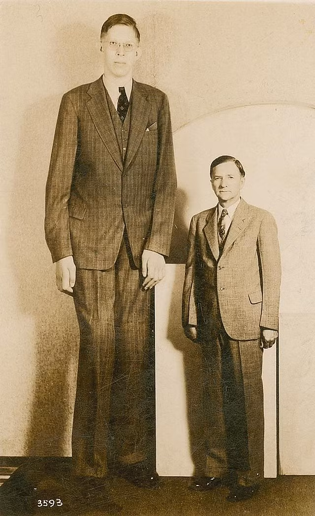 1. Người cao nhất thế giới: Robert Wadlow, sinh ngày 22/ 2 /1918, tại Alton, Illinois, Mỹ, là người cao nhất từng được ghi nhận trong lịch sử. Với chiều cao 2,72 mét (8 feet 11 inches), Wadlow đã tạo nên một kỷ lục chưa bao giờ bị phá kể từ khi ông qua đời vào năm 1940. Sự phát triển vượt trội của ông là do một rối loạn tuyến yên khiến cơ thể sản xuất quá mức hormone tăng trưởng. (Ảnh: Wikipedia)
