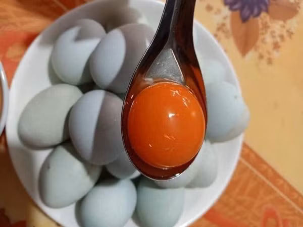 Màu sắc này là kết quả của nhiễm sắc thể trùng lặp do retrovirus EAV-HP, được truyền qua nhiều thế hệ qua DNA.