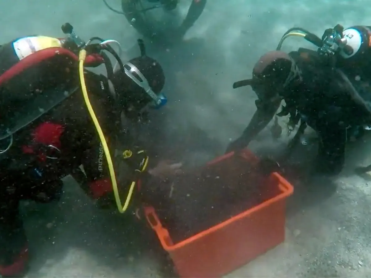 Phát hiện này không chỉ là một kho báu về giá trị vật chất mà còn là một nguồn tài liệu quý giá giúp hiểu sâu hơn về cuộc sống và lịch sử thời kỳ cuối của Đế chế La Mã.