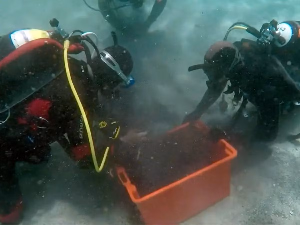 Phát hiện này không chỉ là một kho báu về giá trị vật chất mà còn là một nguồn tài liệu quý giá giúp hiểu sâu hơn về cuộc sống và lịch sử thời kỳ cuối của Đế chế La Mã.