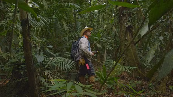 Khu vực này được phát hiện nhờ một cuộc khảo sát từ trên không sử dụng công nghệ quét ánh sáng laser. (Ảnh: National Geographic)