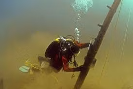 Khám phá này gây sự chú ý và kỳ vọng lớn trong cộng đồng. (Ảnh: lenconnect)