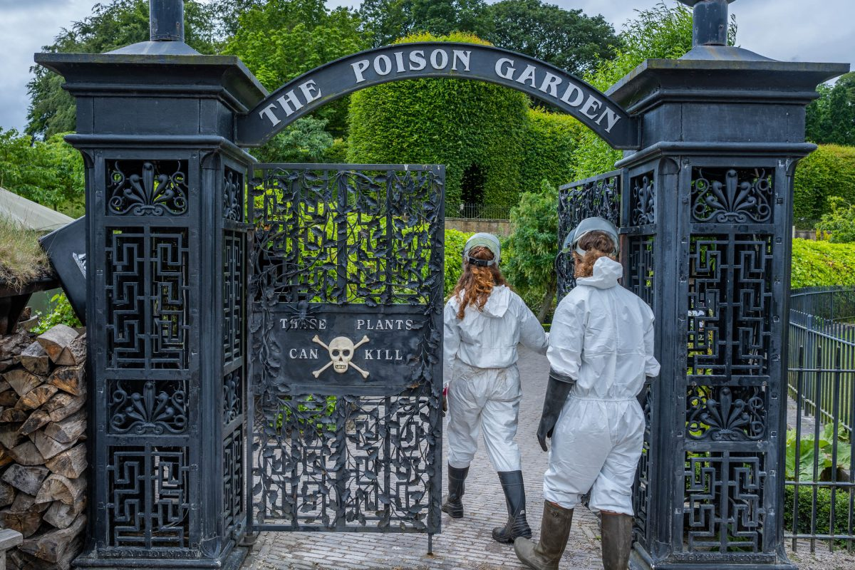 Trevor Jones, một nhân viên tại khu vườn, chia sẻ rằng việc duy trì khu vườn đòi hỏi sự cẩn thận tuyệt đối và bảo vệ cơ thể khi làm việc với các loại cây đặc biệt nguy hiểm.