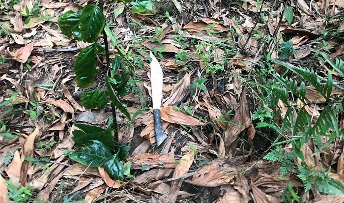 Mặc dù đã được đồng đội nhanh chóng đưa về trung tâm y tế cấp cứu nhưng do vết thương quá nặng và bị mất quá nhiều máu trong quá trình truy đuổi nên Thượng úy Nghĩa đã hy sinh vào trưa cùng ngày. Được biết, Thượng úy Nghĩa đã lập gia đình và có con nhỏ 3 tuổi.