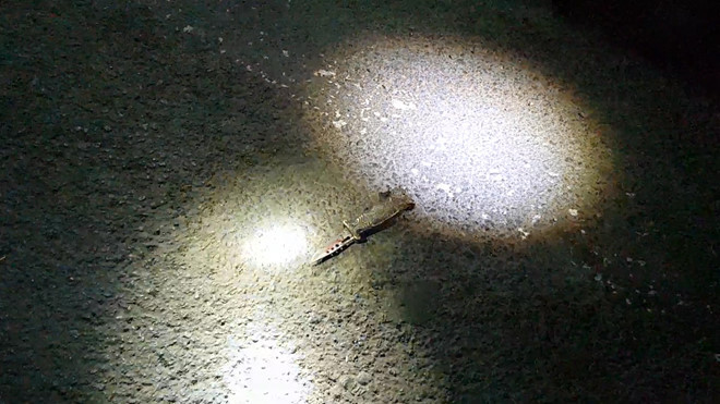 Phong chạy xe tới gây sự, dù được bạn của Phong và anh B. can ngăn nhưng Phong vẫn manh động. Trong lúc ẩu đả, Phong đã dùng dao mang theo người đâm một nhát vào cổ của anh B. khiến nạn nhân tử vong trên đường đến bệnh viện.