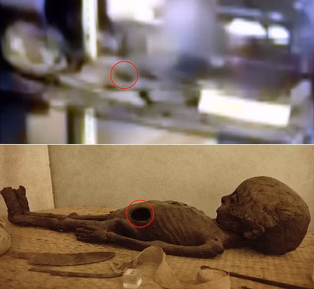 Lo anh bang chung khong the choi cai ve nguoi ngoai hanh tinh-Hinh-3