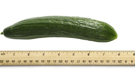 Cảnh sát cao cấp bị bắt vì khoe của quý trên tàu. Trường hợp khác oái oăm hơn nhiều đó là một cảnh sát cao cấp tại Sở cảnh sát Chiba (Nhật) tên là Masaki Morikawa, 57 tuổi. Ông này bị bắt khi đột nhiên tụt quần, khoe “của quý”.