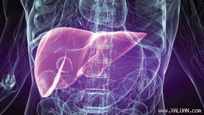 Ai dễ mắc ung thư gan như cựu tổng thống Mỹ Jimmy Carter? - Hình 13 Ai dẽ mác ung thu gan nhu cụu tỏng thóng Mỹ Jimmy Carter?-Hinh-13