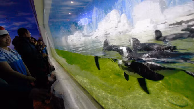 Chắc chắn đây sẽ là điểm vui chơi khiến các bé mê tít.